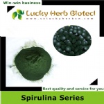 Spirulina Powder